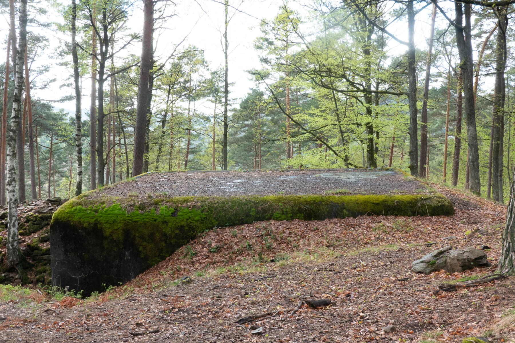 Ligne Maginot - WINDSTEIN - (Casemate d'artillerie) - Dessus de la casemate