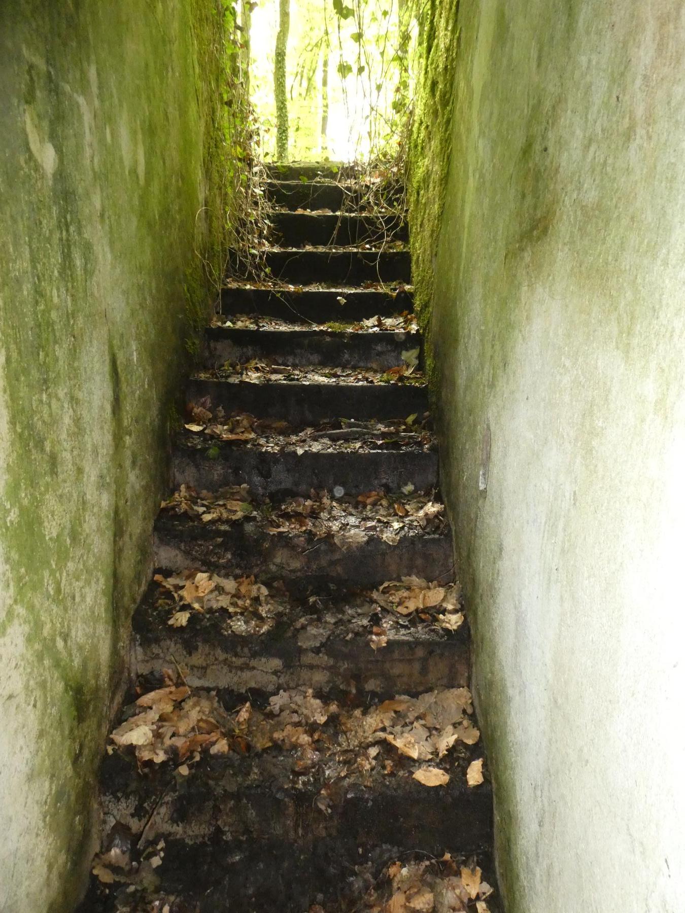 Ligne Maginot - MEMMELSHOFFEN (22° RIF) - (PC de Sous-Secteur) - Entrée