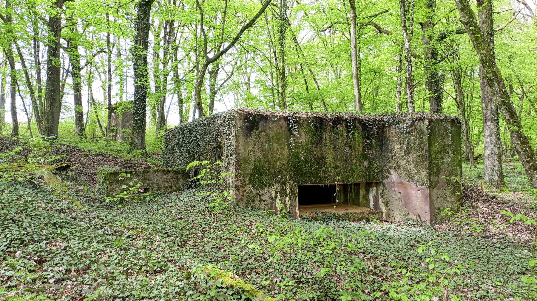 Ligne Maginot - CB118-C - OBERHEIDE 02 - (Blockhaus pour canon) - 