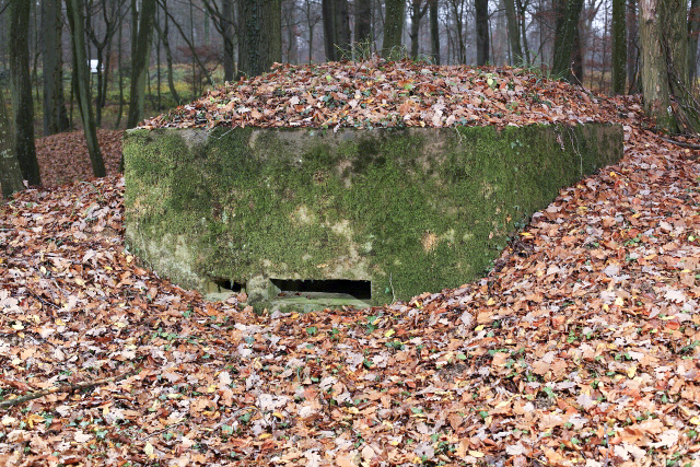 Ligne Maginot - OBERHEIDE - 116C (Blockhaus pour arme infanterie) - 