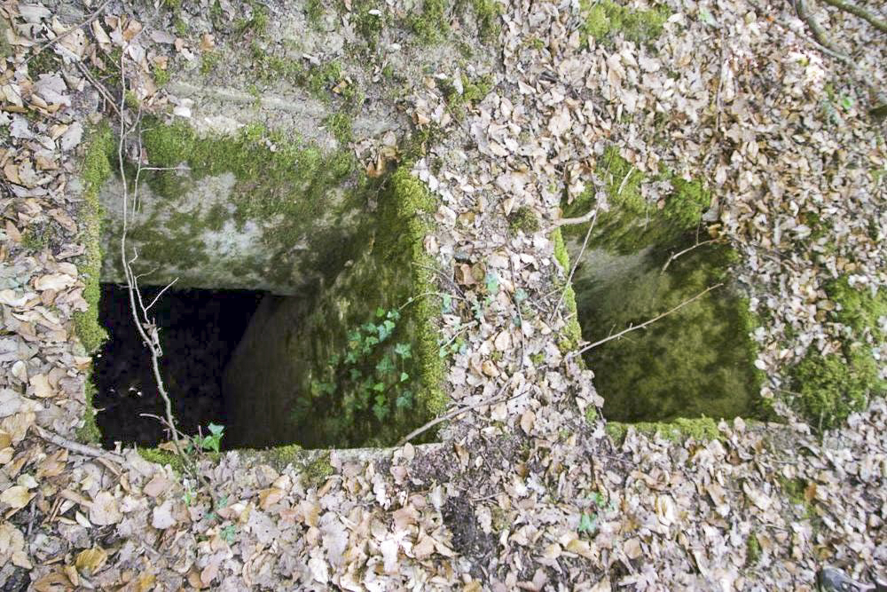 Ligne Maginot - O45 - OBERHEIDE - (Observatoire d'artillerie) - Les créneaux de l'observatoire