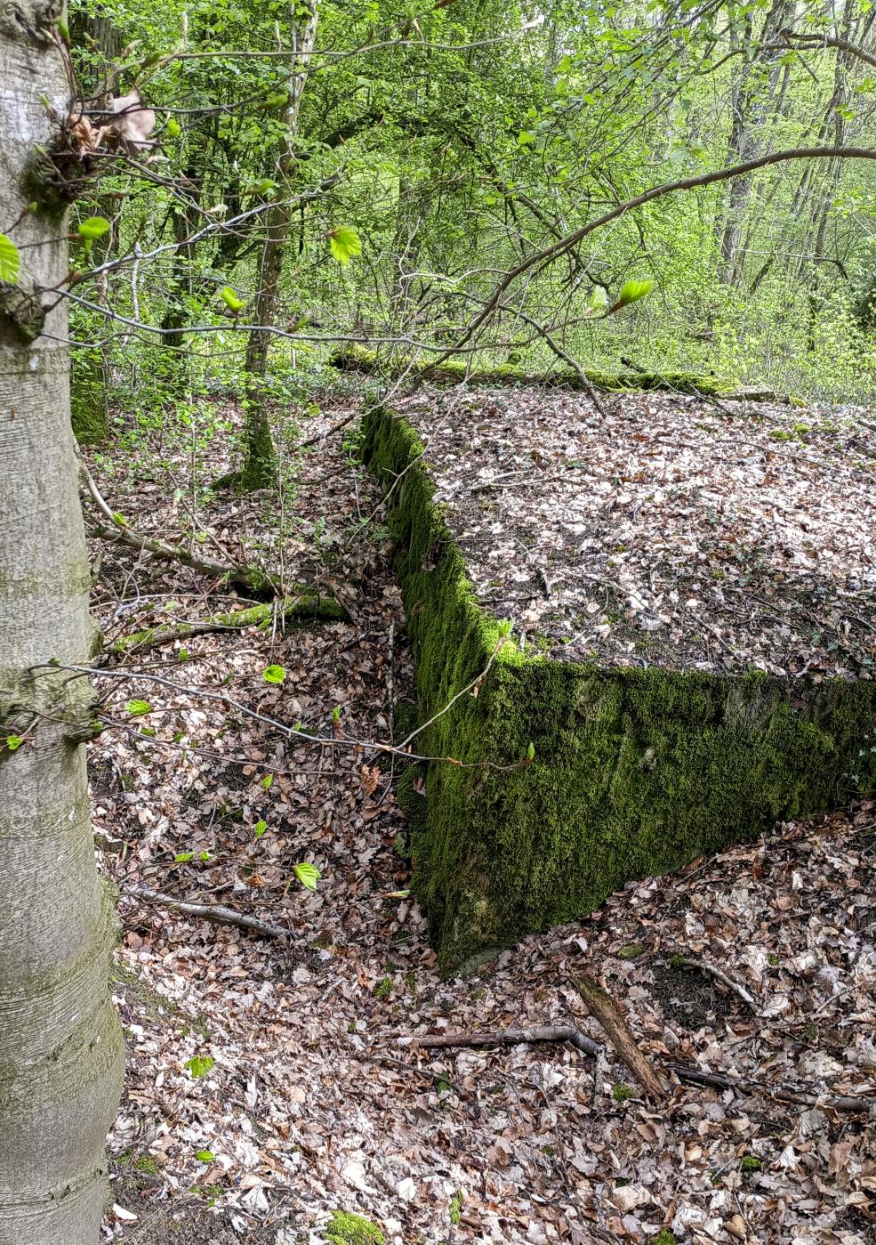 Ligne Maginot - O45 - OBERHEIDE - (Observatoire d'artillerie) - 