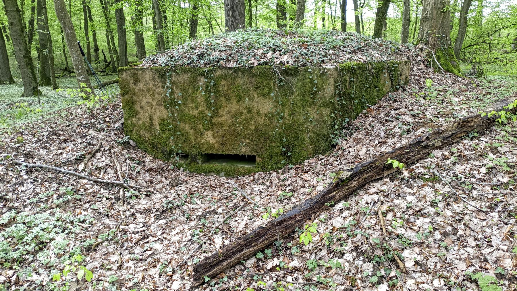 Ligne Maginot - OBERHEIDE - 116C - (Blockhaus pour arme infanterie) - 