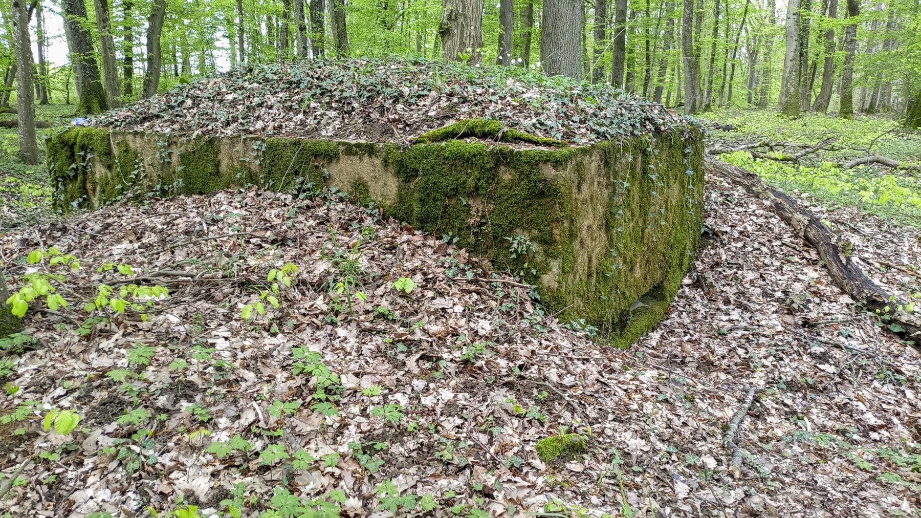 Ligne Maginot - OBERHEIDE - 116C - (Blockhaus pour arme infanterie) - 