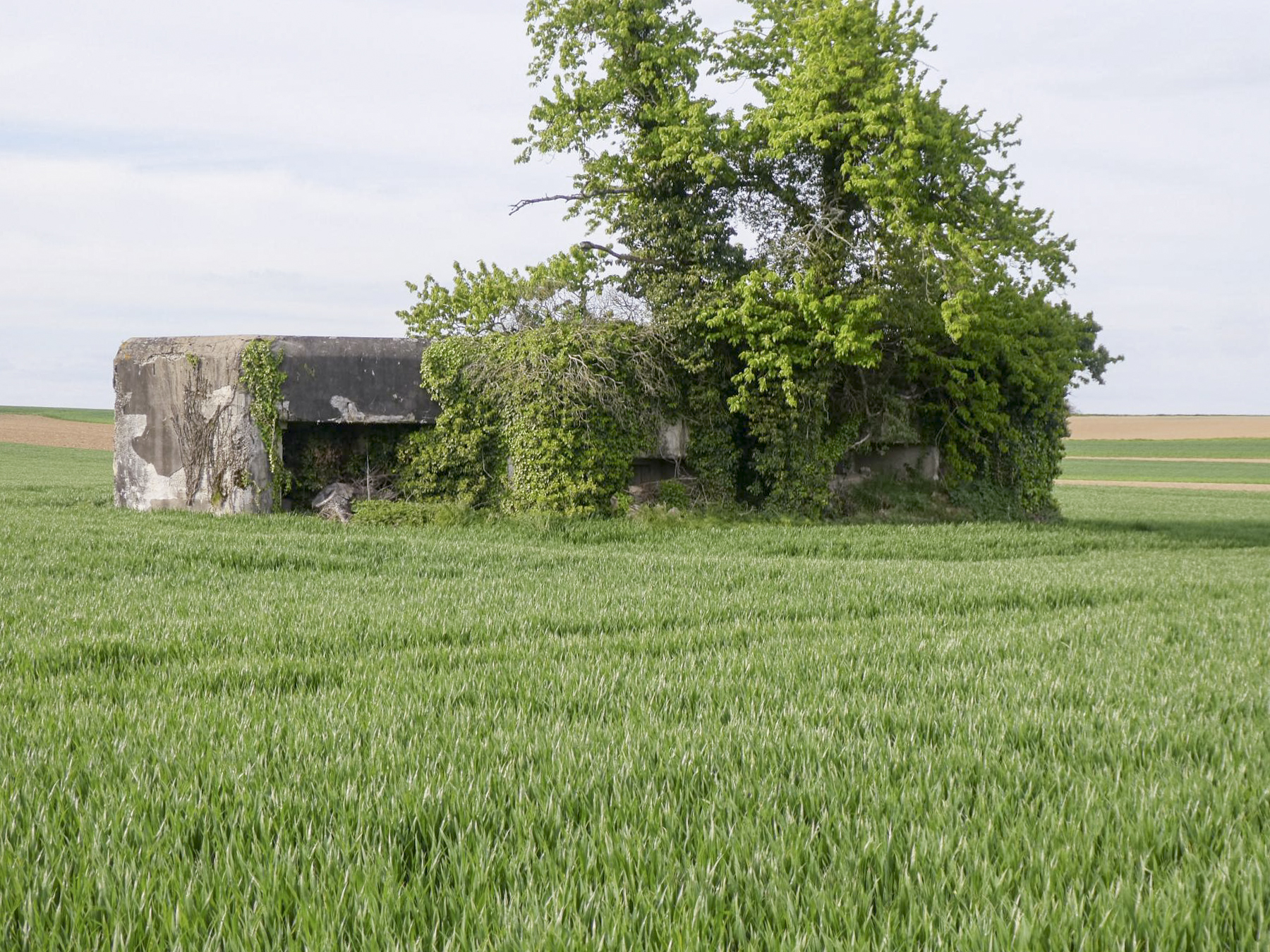 Ligne Maginot - EICHMATT - (Casemate d'infanterie - Simple) - 