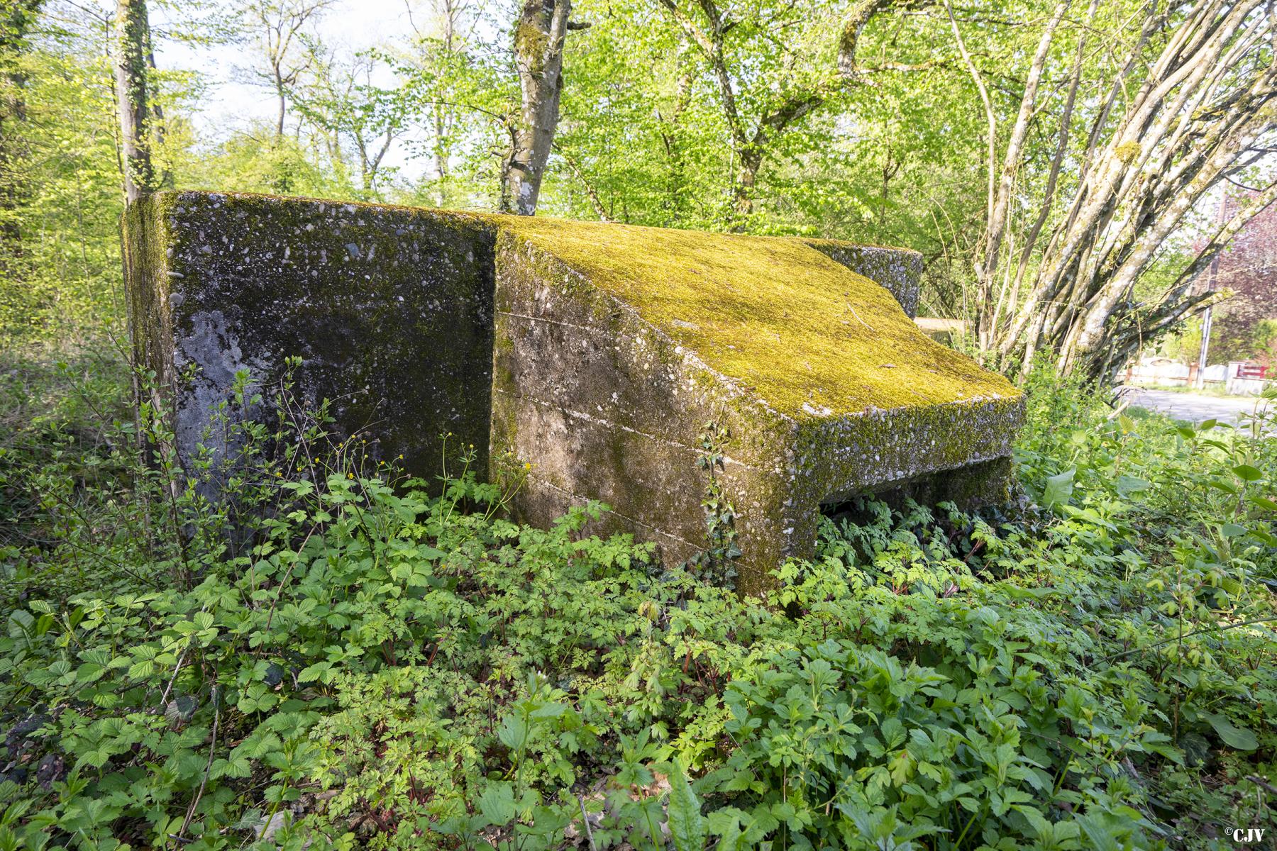 Ligne Maginot - BOIS DE LAUDREFANG NORD 3 - (Blockhaus pour arme infanterie) - 