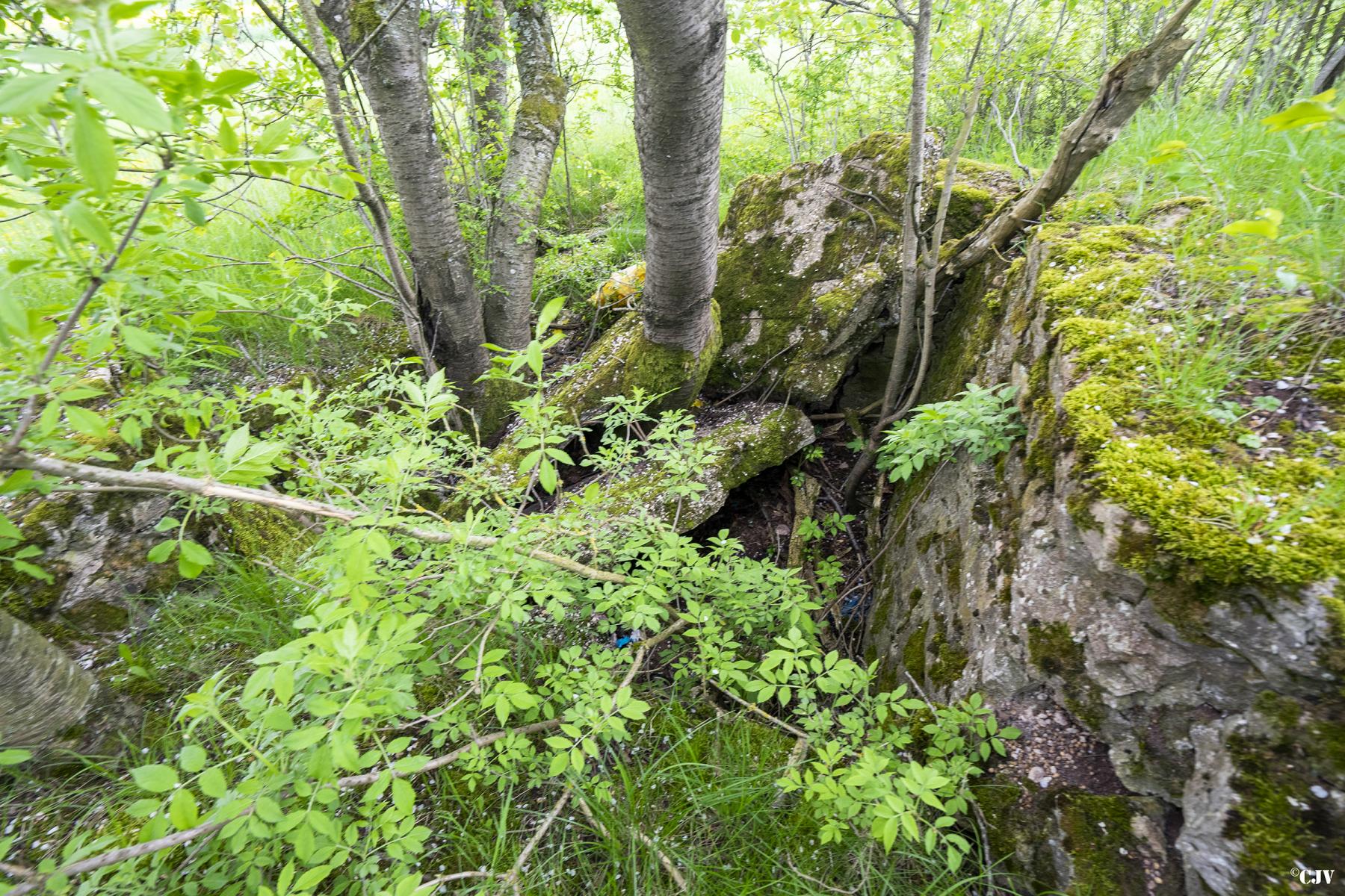 Ligne Maginot - KNOPP 6 - (Blockhaus de type indéterminé) - Les ruines du blockhaus