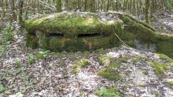 Ligne Maginot - CB434A - BOIS DE CATTENOM 08 - (Observatoire d'infanterie) - Observatoire construit à partir d'un 'escargot' allemand d'avant la première guerre mondiale