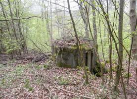 Ligne Maginot - FM9 - HIRTENMATT 1 - (Blockhaus pour arme infanterie) - Vue vers l'entrée