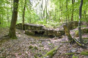 Ligne Maginot - OBERSTER WALD - (PC) - Abri 1