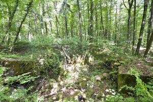 Ligne Maginot - OBERSTER WALD - (PC) - Abri 3