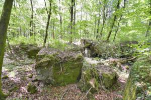 Ligne Maginot - OBERSTER WALD - (PC) - Abri 3