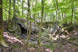 Ligne Maginot - OBERSTER WALD - (PC) - Abri 4