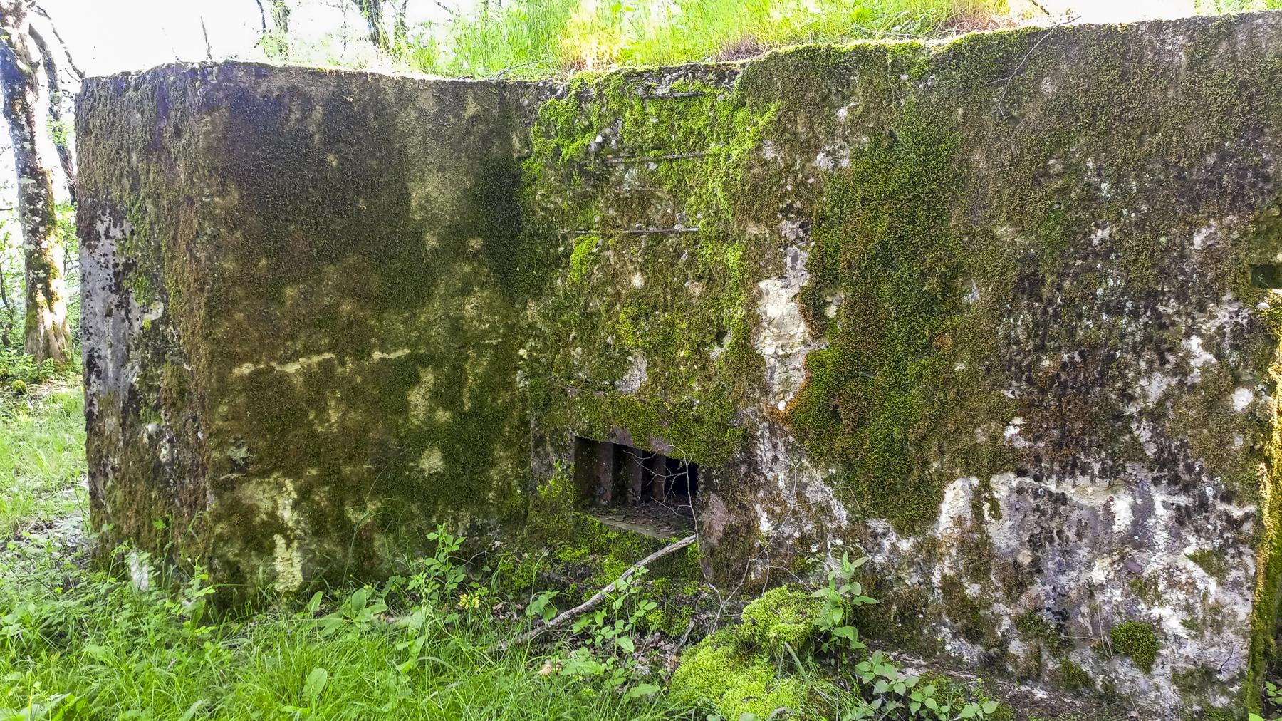 Ligne Maginot - CB225 - BOIS DE CATTENOM 03 - (Blockhaus pour arme infanterie) - Le créneau de tir