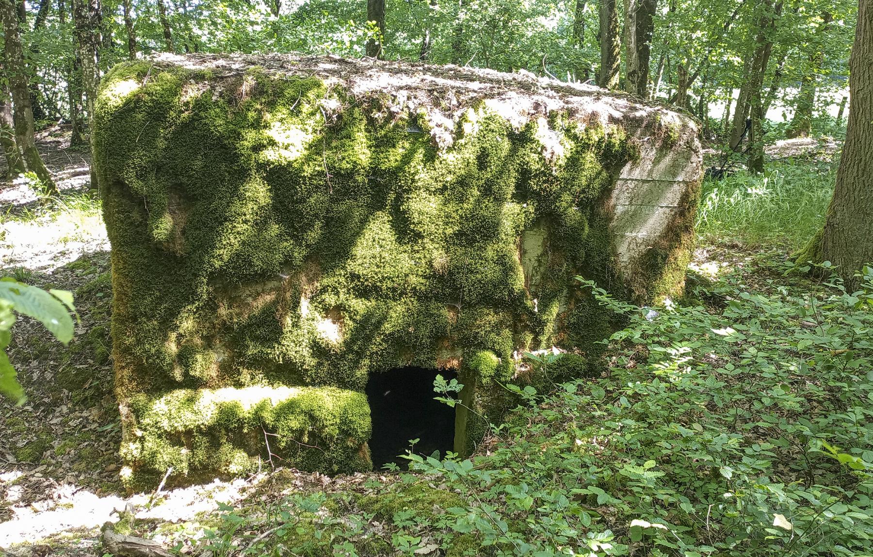 Ligne Maginot - CB434-B - ROCKSWINGERT EST 2 - (Observatoire d'infanterie) - L'entrée