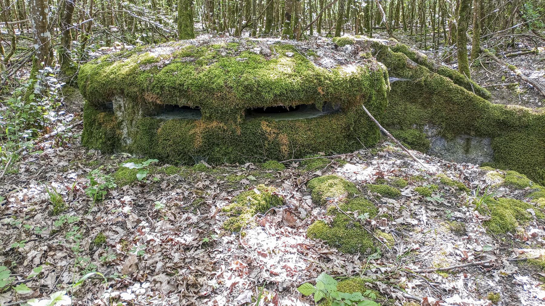 Ligne Maginot - CB434A - BOIS DE CATTENOM 08 - (Observatoire d'infanterie) - Observatoire construit à partir d'un 'escargot' allemand d'avant la première guerre mondiale