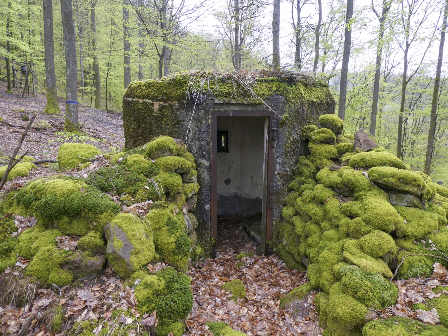 Ligne Maginot - FM39 - DIEBSKOPF 1 - (Blockhaus pour arme infanterie) - Entrée