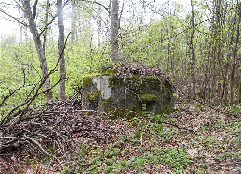 Ligne Maginot - FM9 - HIRTENMATT 1 - (Blockhaus pour arme infanterie) - Créneau frontal et latéral gauche