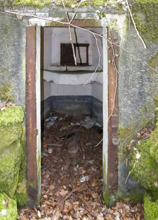 Ligne Maginot - FM9 - HIRTENMATT 1 - (Blockhaus pour arme infanterie) - L'entrée