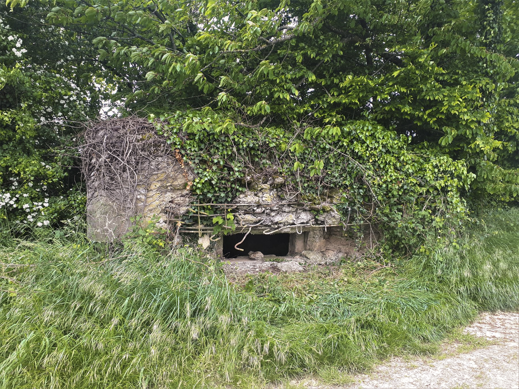 Ligne Maginot - BOIS DE HOFFEN 1 - (Blockhaus pour canon) - Façade et créneau de la pièce antichar