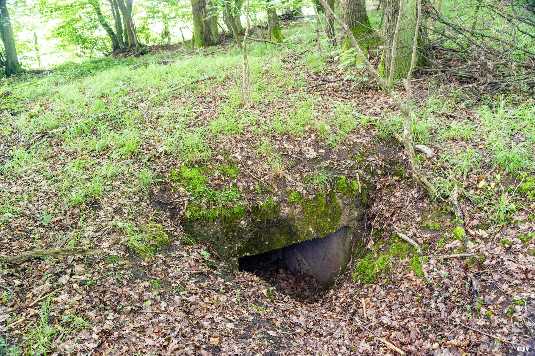 Ligne Maginot - TAUBRUNNENWALD 4 - FT - (Blockhaus pour arme infanterie) - L'entrée              