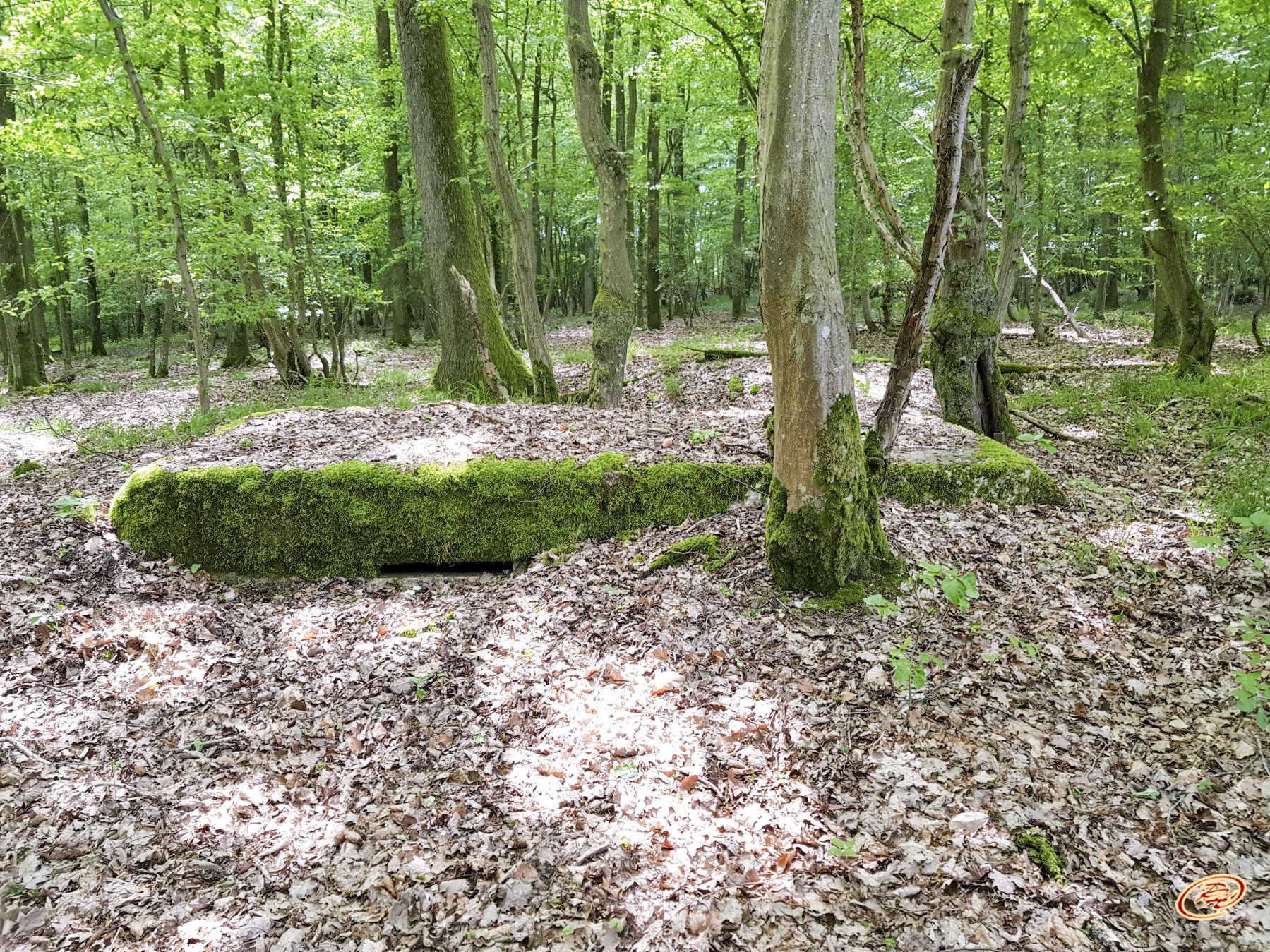 Ligne Maginot - TAUBRUNNENWALD 7 - (Observatoire d'infanterie) - 