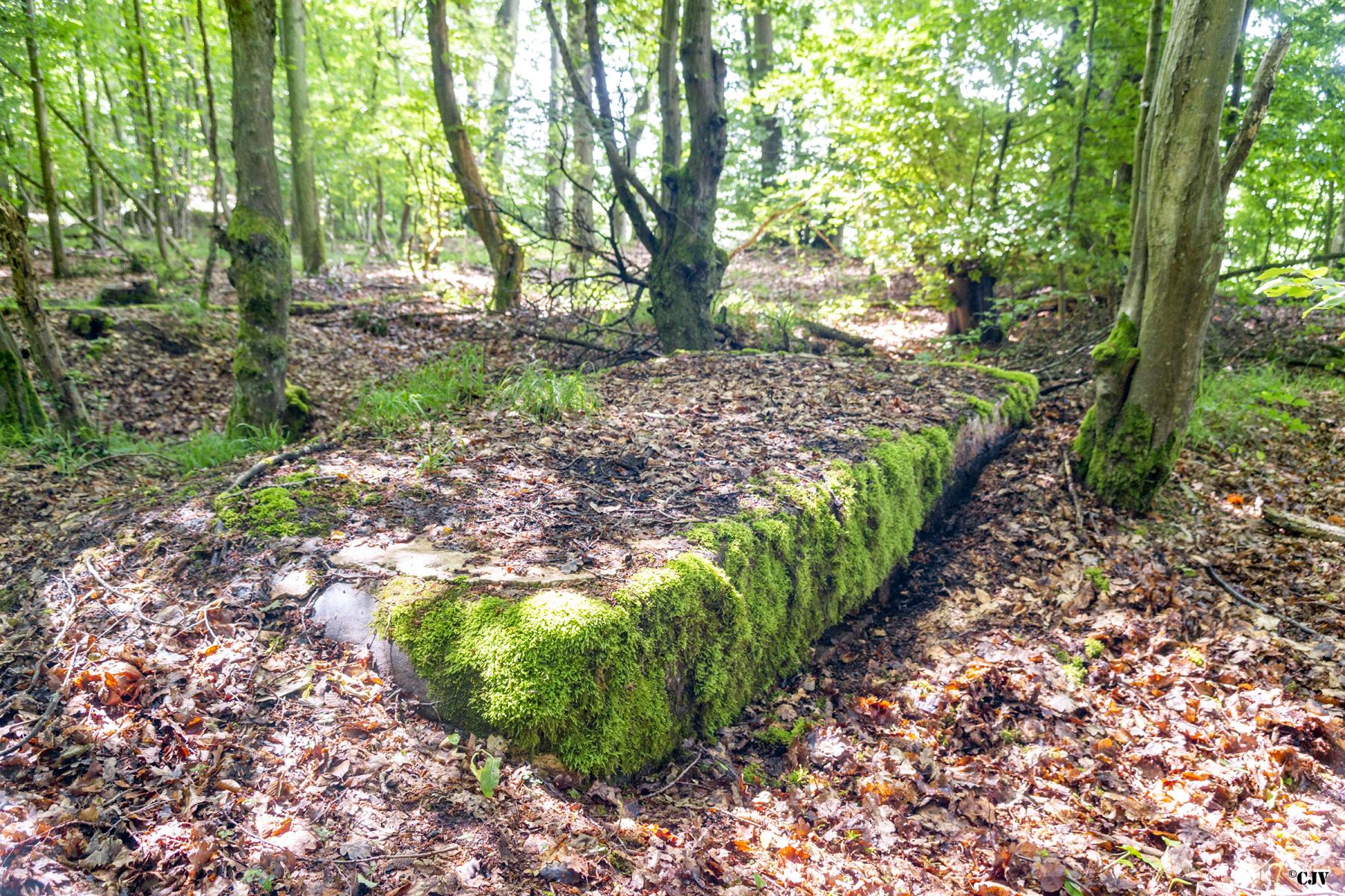 Ligne Maginot - TAUBRUNNENWALD 7 - (Observatoire d'infanterie) - 