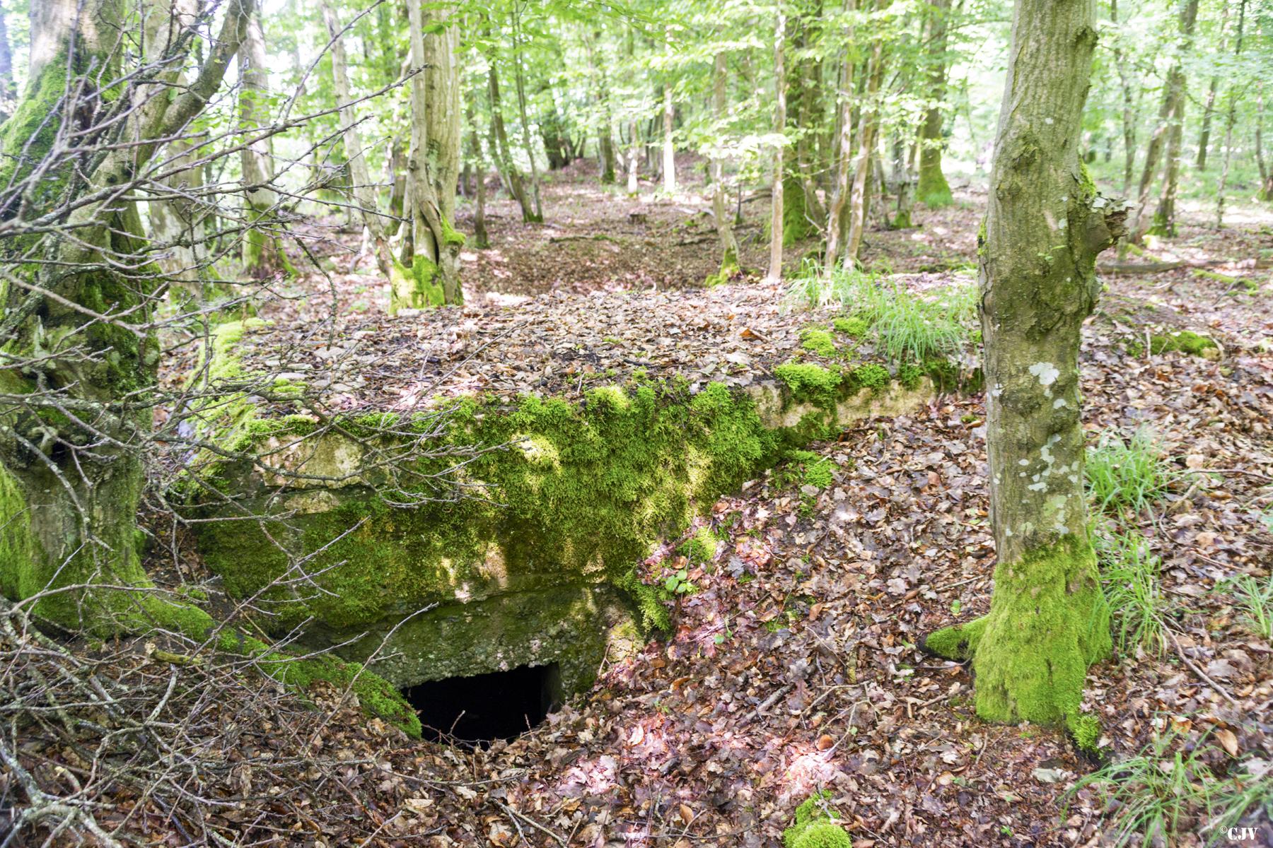 Ligne Maginot - TAUBRUNNENWALD 7 - (Observatoire d'infanterie) - L’entrée         