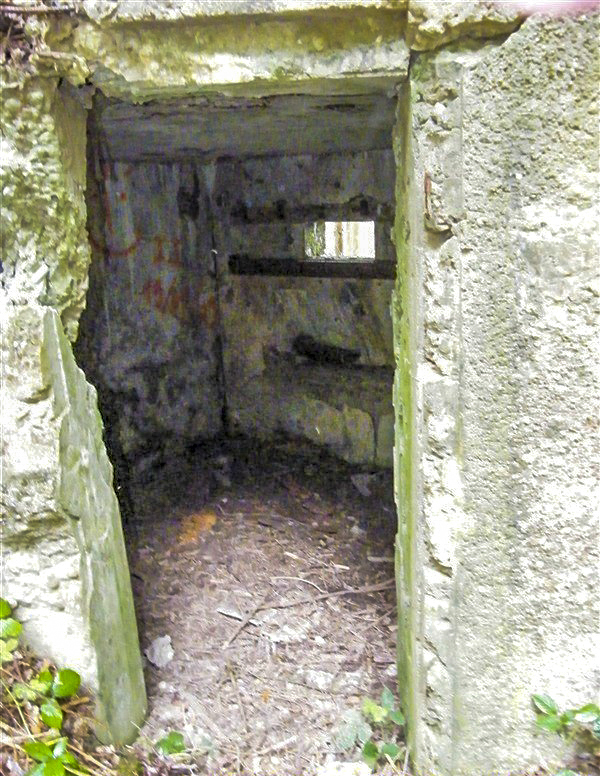 Ligne Maginot - PFAFFENBRONN 3 - (Blockhaus pour arme infanterie) - L'entrée