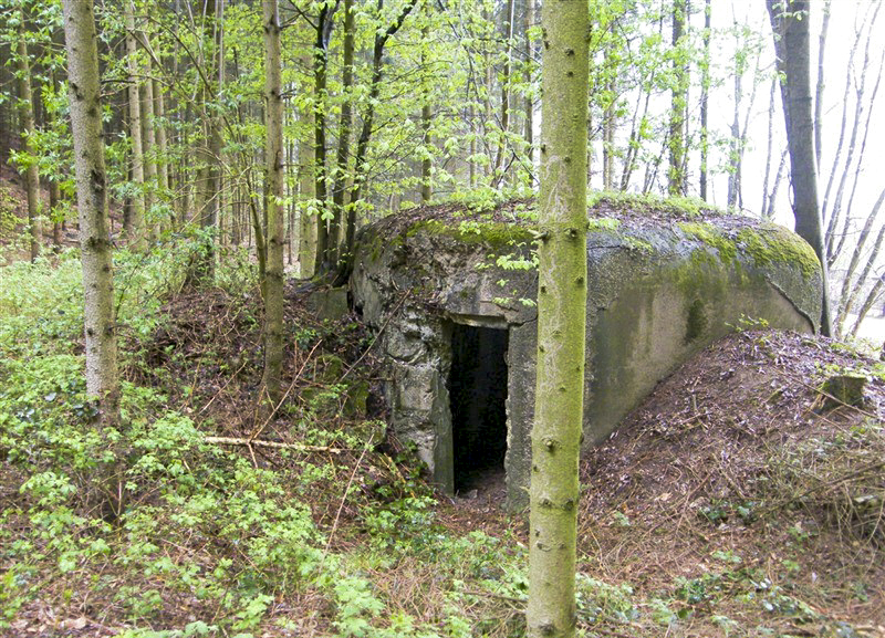 Ligne Maginot - PFAFFENBRONN 3 - (Blockhaus pour arme infanterie) - L'entrée