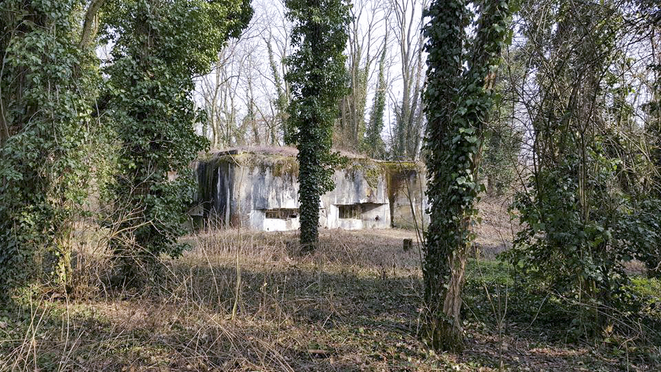 Ligne Maginot - 84 - CHEMIN CREUX - (Casemate d'infanterie - Double) - 