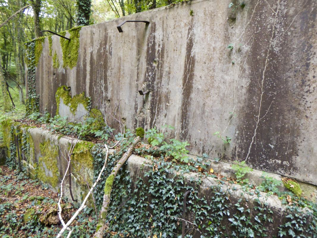 Ligne Maginot - MONT DES WELCHES - (Casernement) - Mangeoires pour chevaux ou mulets