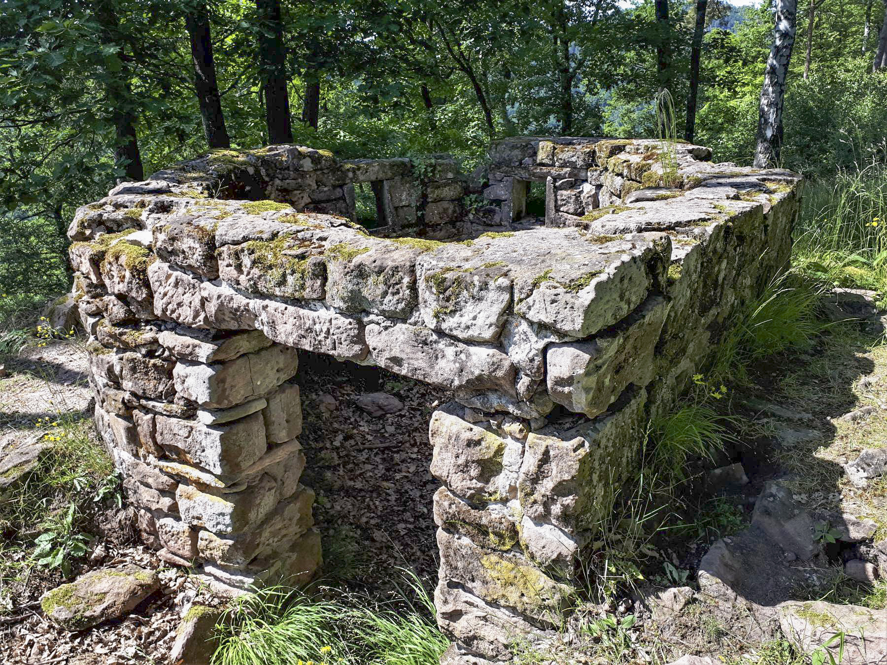 Ligne Maginot - CHATEAU NEUF 2 - (Blockhaus pour arme infanterie) - Entrée