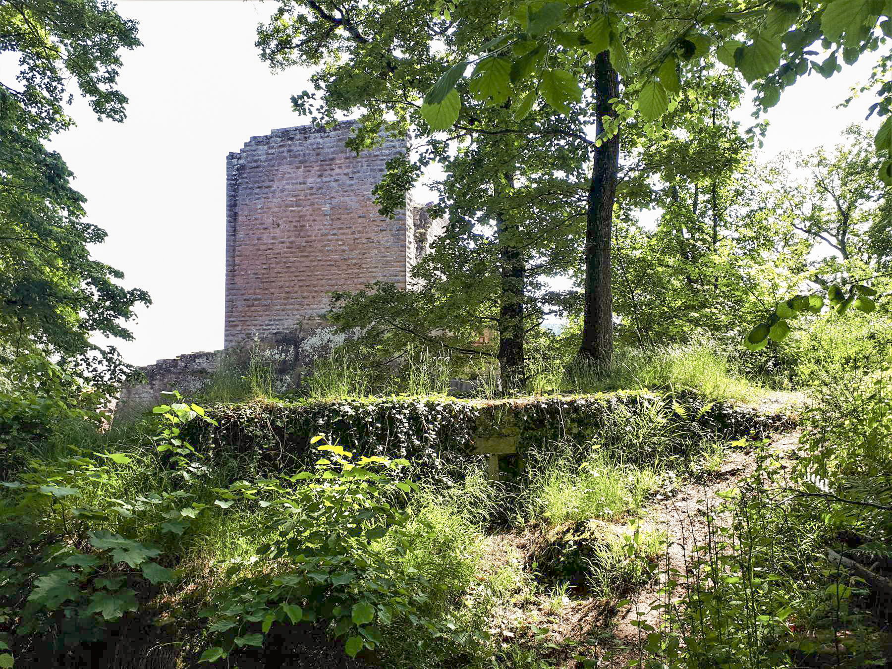 Ligne Maginot - CHATEAU NEUF 3 - (Blockhaus pour arme infanterie) - 