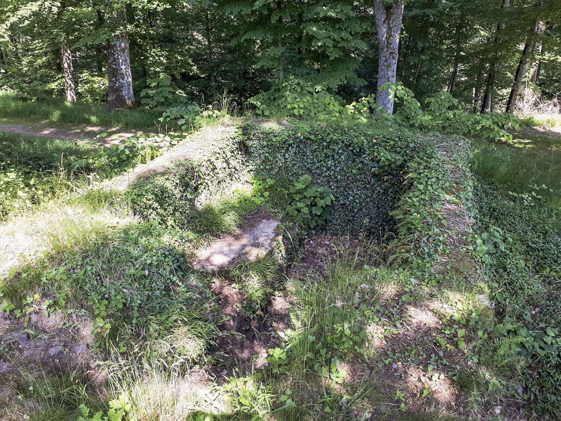 Ligne Maginot - CHATEAU NEUF 3 - (Blockhaus pour arme infanterie) - Vue d'ensemble du blockhaus