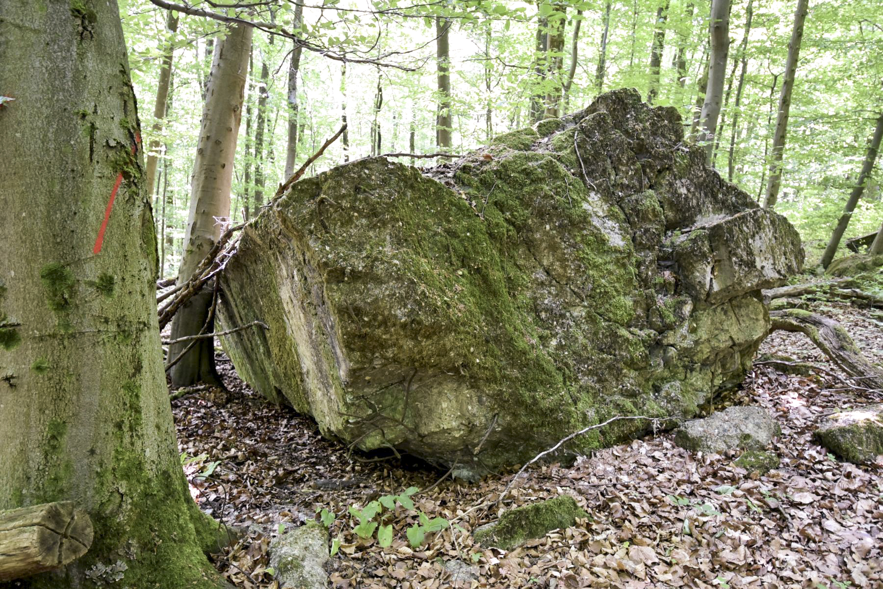 Ligne Maginot - OBERSTER WALD - (PC) - Abri 1