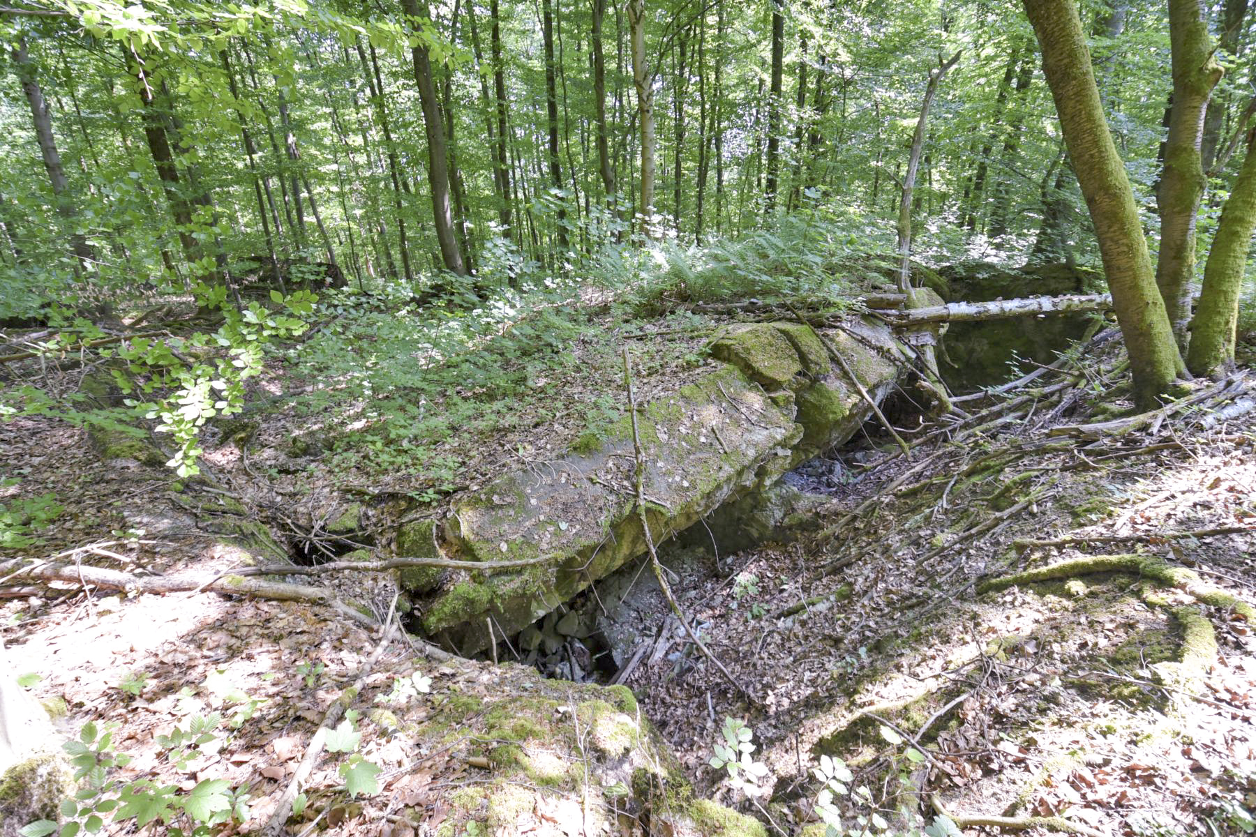 Ligne Maginot - OBERSTER WALD - (PC) - Abri 1