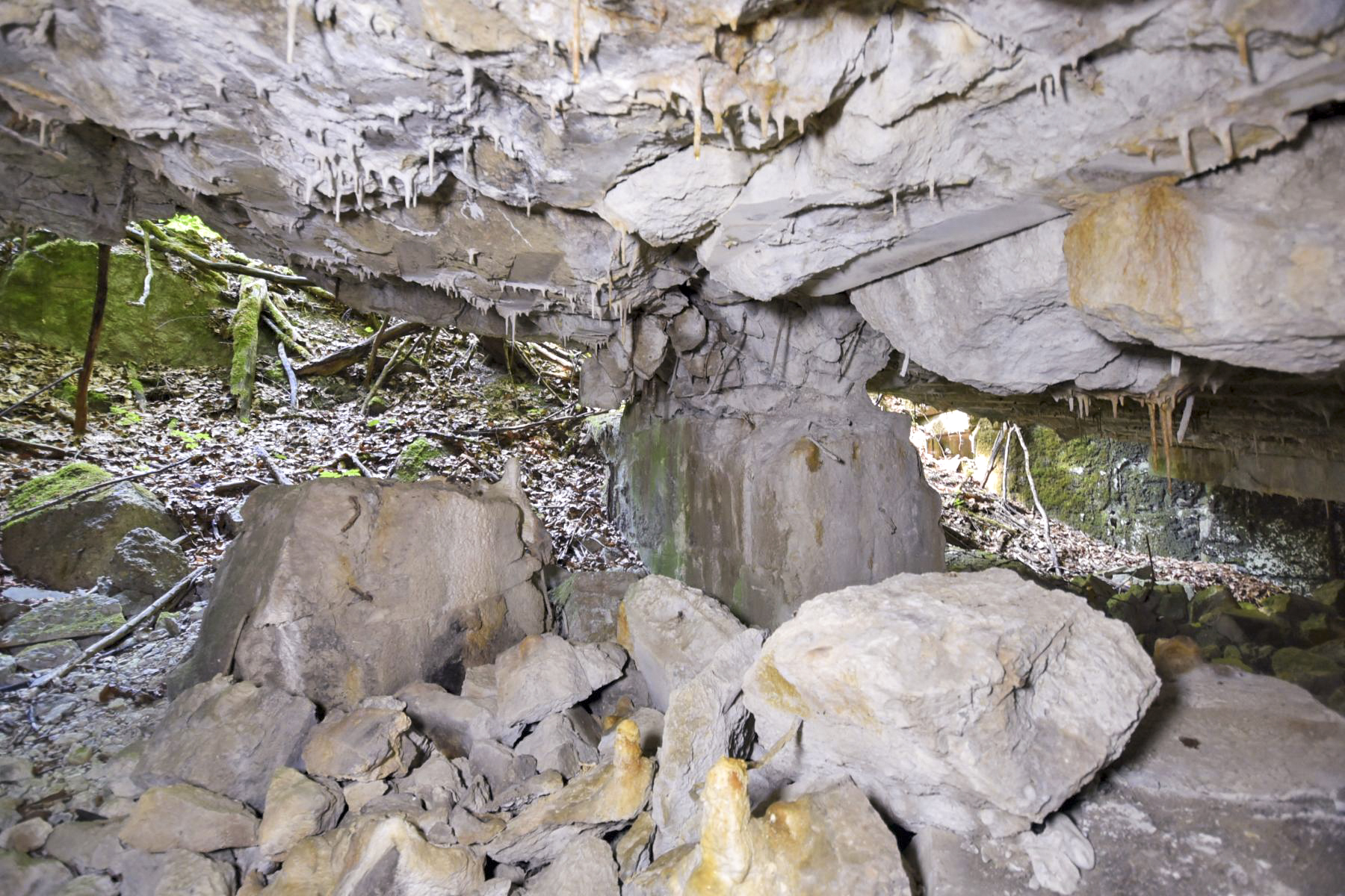 Ligne Maginot - OBERSTER WALD - (PC) - Abri 1