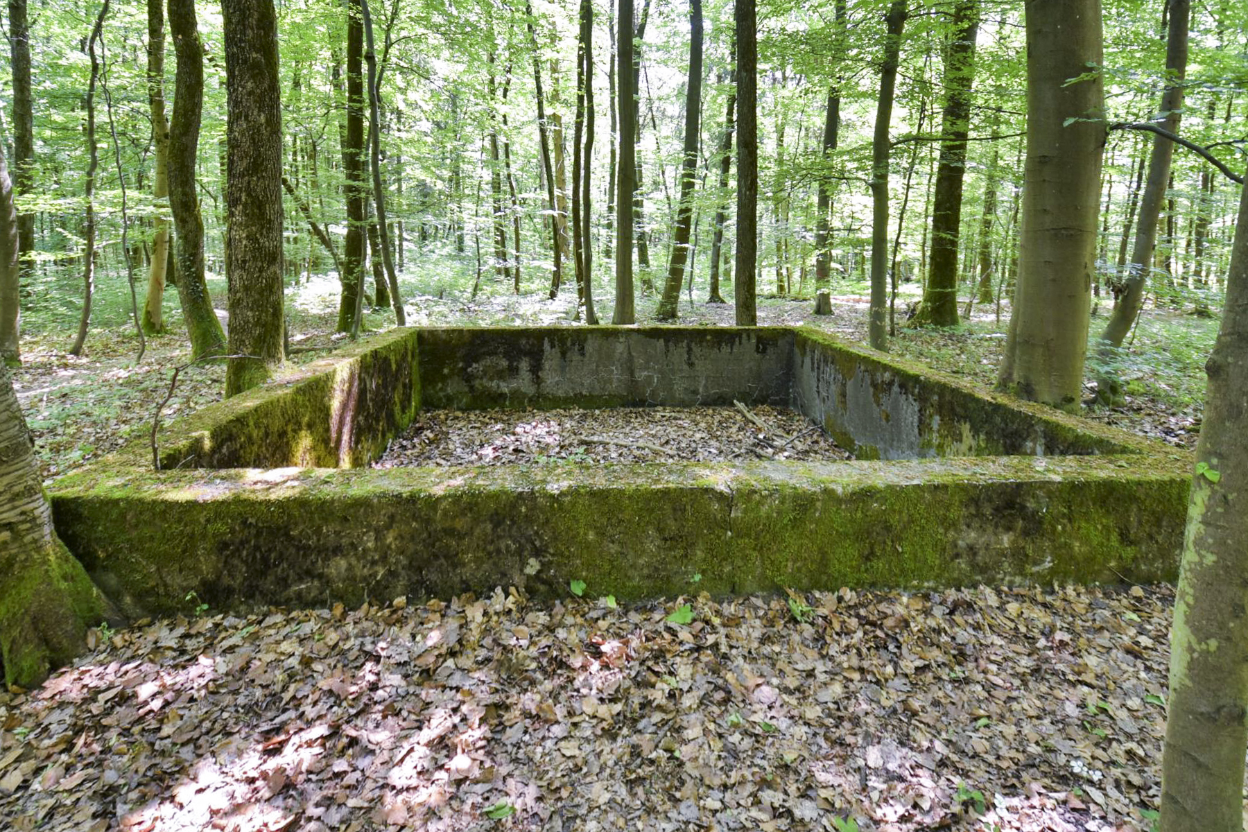 Ligne Maginot - OBERSTER WALD - (PC) - Réservoir