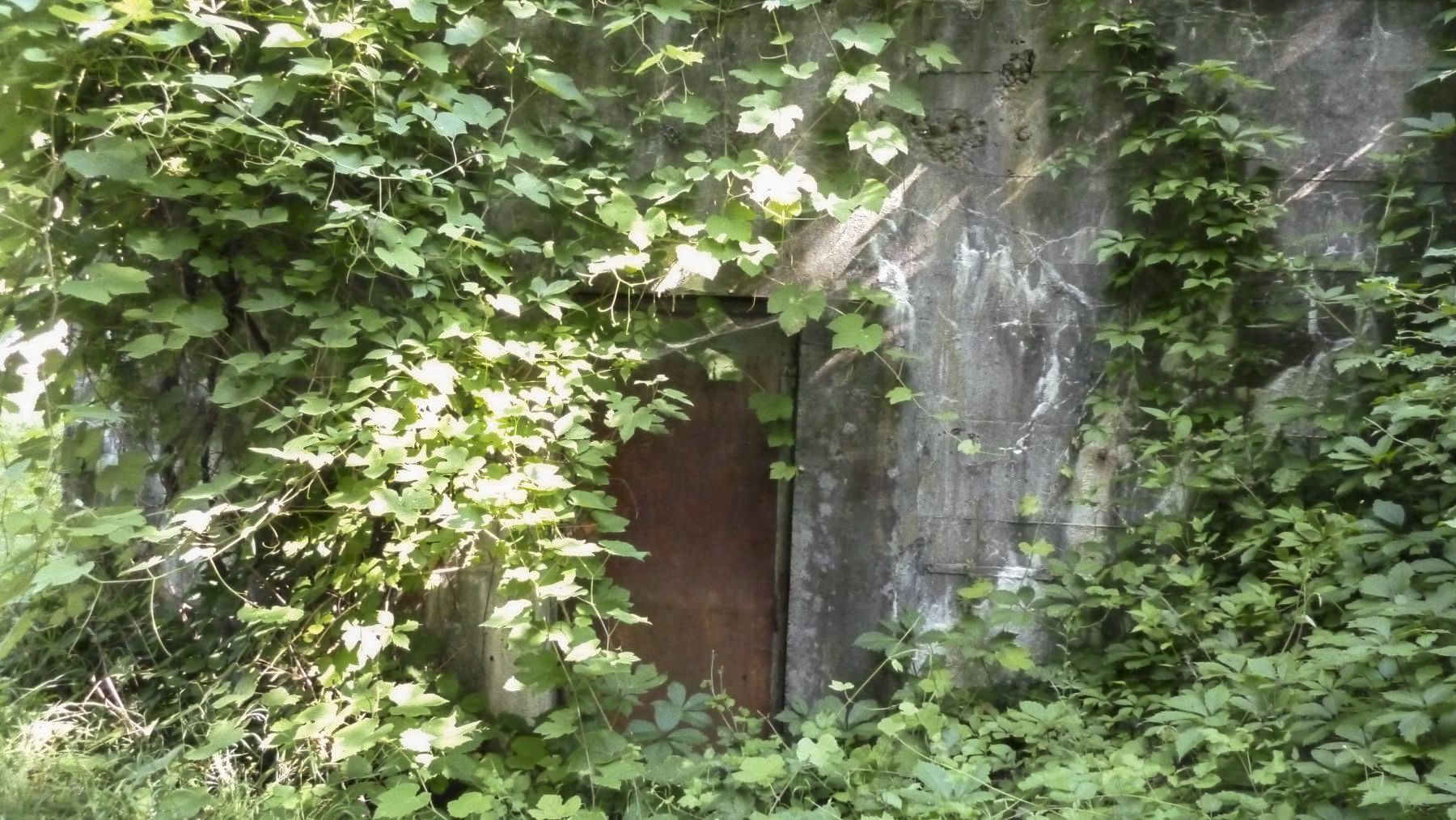 Ligne Maginot - O56 - MAGLAND-OËX - HS123 - (Blockhaus pour canon) - Porte métallique en place