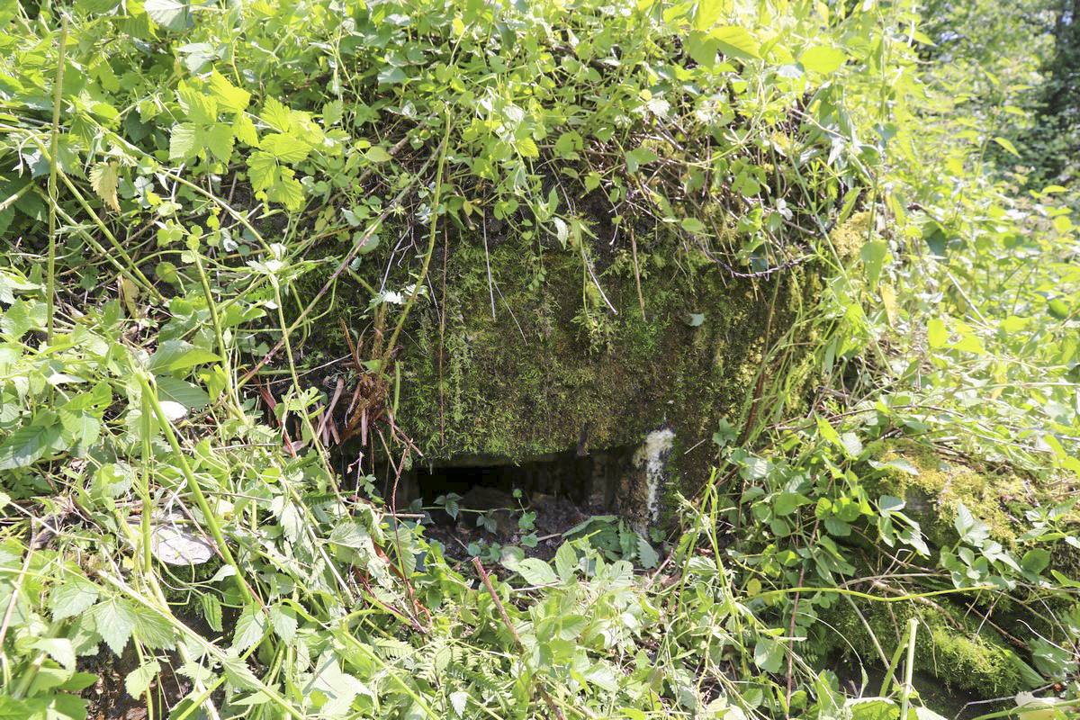 Ligne Maginot - SA-16 - LES PANISSATS 3 - (Blockhaus pour arme infanterie) - Invisible printemps/été dans un champ d'orties, signalé et dégagé par le propriétaire. 