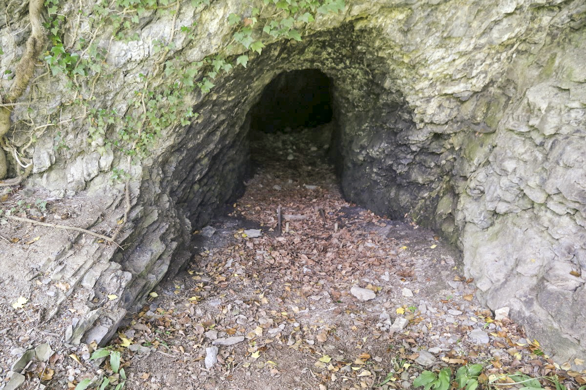 Ligne Maginot - O59 - SAXEL CENTRE - (Abri) - Entrée nord