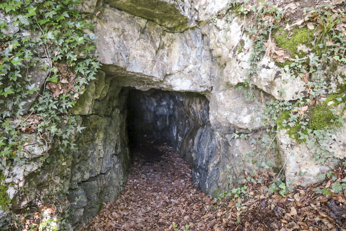 Ligne Maginot - O52-53-53BIS - OËX - (Ouvrage d'infanterie) - Entrée