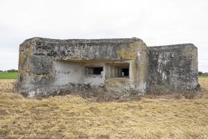 Ligne Maginot - A49 - GLYCINE - (Blockhaus pour canon) - 