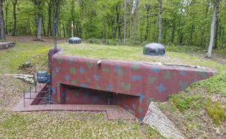 Ligne Maginot - HUBERBUSCH SUD - C59 - (Casemate d'infanterie - Simple) - 