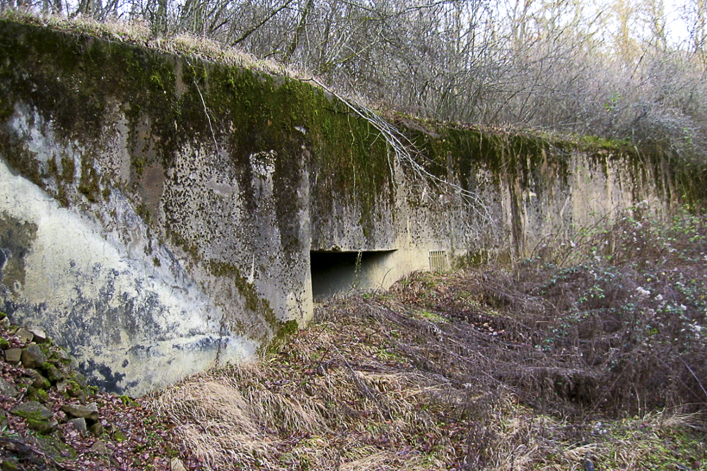 Ligne Maginot - BOIS KARRE - X12 (Abri) - Façade, merlonnée, de l'abri