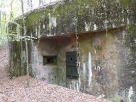 Ligne Maginot - MONT DES WELCHES - X25 - (Abri) - 