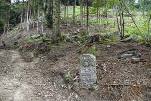 Ligne Maginot - O7-7BIS - SAXEL SUD - (Ouvrage d'infanterie) - A proximité, le long de la piste militaire, un monument