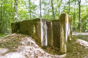 Ligne Maginot - SCHEIDWALD 6 - (Blockhaus pour arme infanterie) -                   