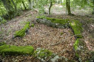 Ligne Maginot - TAUBRUNNENWALD 9 - (Blockhaus pour arme infanterie) -                                              